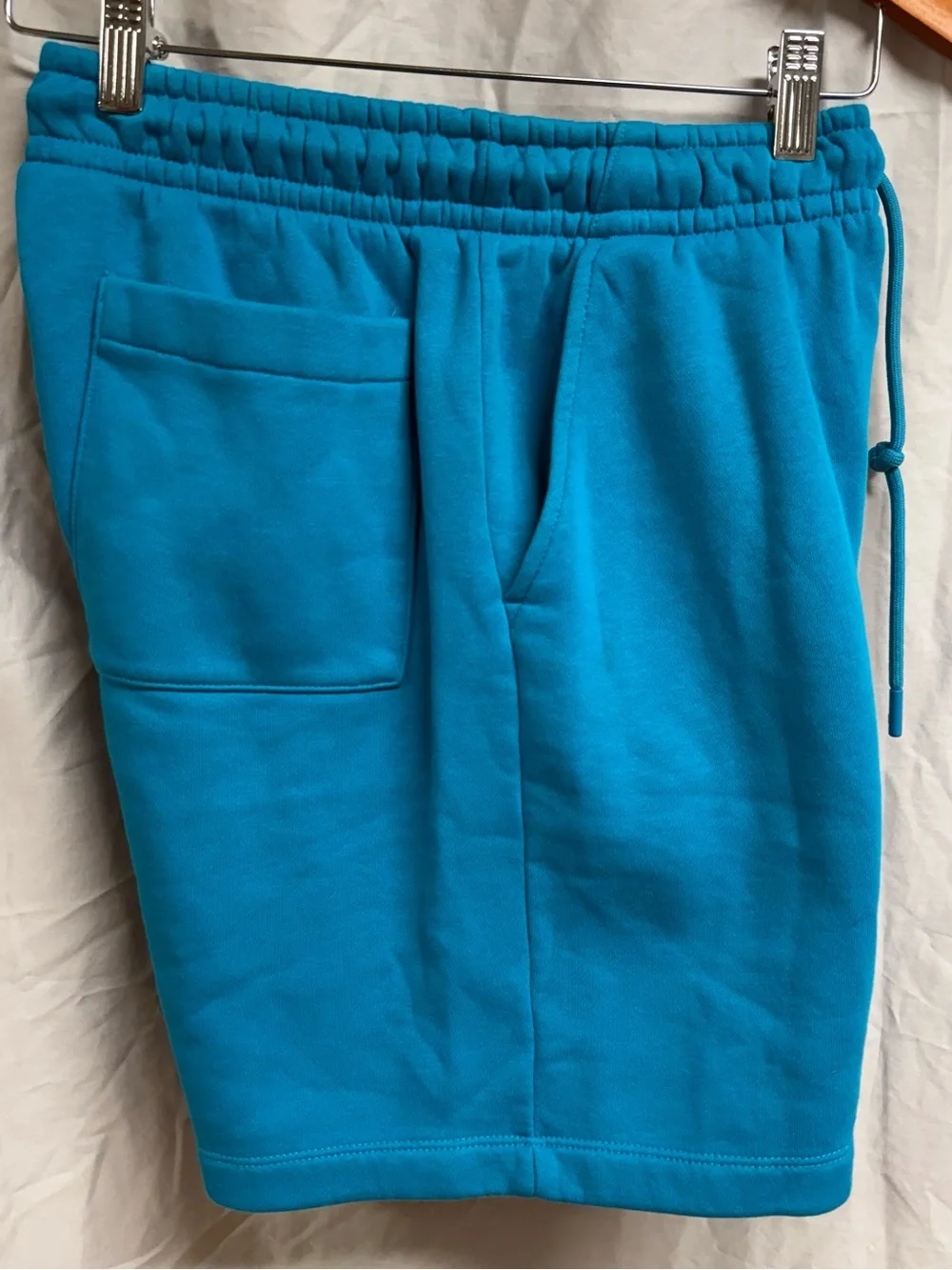 Jordan Teal Blue Jumpman Drawstring Shorts